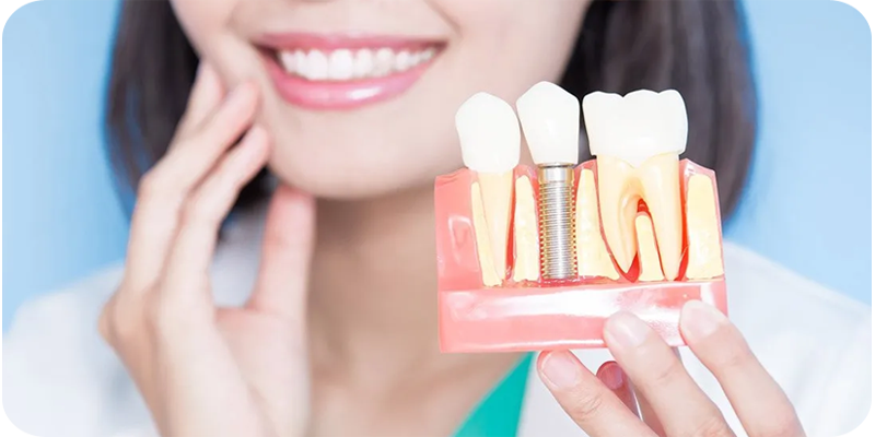 Girl holding sample tooth explanation for dental implants treatment